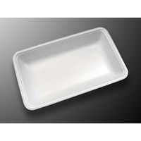 中央化学 発泡トレー CN25-15G 333393 1ケース(1200個(100個×12))（直送品）