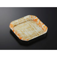 中央化学 発泡トレー CX24-24A 四織OR内 身L (50 350488 1ケース(450個(50個×9))（直送品）