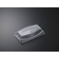 中央化学 C-NF 船10 蓋-30H (CAPG) 381970 1袋(25個)（直送品）