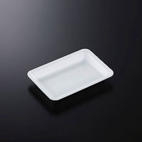 中央化学 発泡トレー CN 22-15F (L) 231092 1ケース(1600個(100個×16))（直送品）