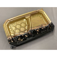 中央化学 弁当容器 CT ロックス 24-16N 耀G 身 21105 1ケース(900個(50個×18))（直送品）