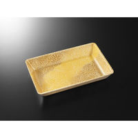 中央化学 発泡トレー C・FS-B4F(LL) 風光Y内 19075 1ケース(1500個(50個×30))（直送品）