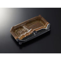 中央化学 弁当容器 CT ロックス 22-14 2S パイルBR身 20776 1ケース(1000個(50個×20))（直送品）