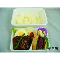 中央化学 弁当容器 CF ランチBOX-2 身 138628 1袋(50個)（直送品）