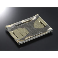 中央化学 刺身容器 CT 波ね皿 24-18 壮月BK-BK 身 138727 1ケース(400個(50個×8))（直送品）