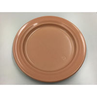 中央化学 軽食容器 CT 沙楽 M23 NP-BK 身 11478 1袋(50個)（直送品）