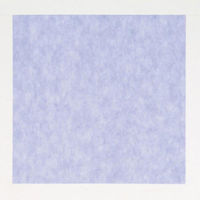 fBJ sDz C~ pXeJ[ p[v 90×90cm 1600375 1(100)iij