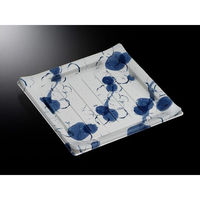 中央化学 刺身容器 CT 波ね皿 24-24 時雨B 身 140061 1袋(50個)（直送品）