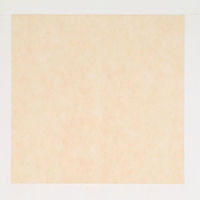東京メディカル 不織布 風呂敷 パステルカラー ベージュ 66×66cm 1600401 1ケース(1600個(100個×16))（直送品）
