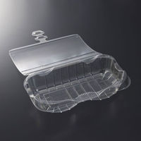 中央化学 フルーツ容器 C-APG OFL-2 16311 1袋(50個)（直送品）