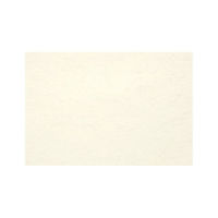 アーテック テーブルマット 尺三まっと 清流 黄 (100枚入) SR-02 1ケース(100個(1個×100))（直送品）