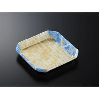 中央化学 発泡トレー CX20-20A 四織B内 身L (50) 351320 1ケース(450個(50個×9))（直送品）