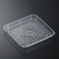 中央化学 透明トレー C-APG CSR 20-20E 270256 1袋(100個)（直送品）