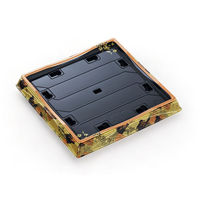 中央化学 寿司容器 HS 天城 30-5 かなえ金-BK 身 284075 1袋(10個)（直送品）