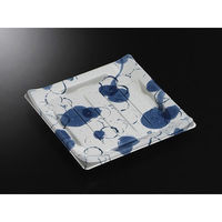 中央化学 刺身容器 CT 波ね皿 20-20 時雨B 身 142919 1ケース(400個(50個×8))（直送品）