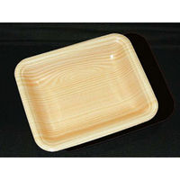 中央化学 発泡トレー CN15-12E 木曽内 334094 1ケース(3000個(100個×30))（直送品）