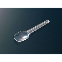 中央化学 使い捨てカトラリー FDデザートスプーン 80 単袋入 642991 1袋(100個)（直送品）