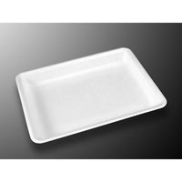 中央化学 発泡トレー CN28-21G(50) 686303 1ケース(600個(50個×12))（直送品）