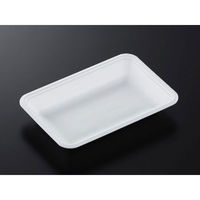 中央化学 発泡トレー CN 20-13F (L) 388629 1袋(100個)（直送品）