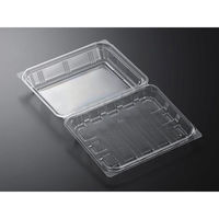 中央化学 フードパック パノラックV 20-16 132498 1袋(50個)（直送品）