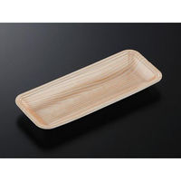 中央化学 発泡トレー CN 25-10E 木曽内 (L) 234401 1ケース(2100個(100個×21))（直送品）