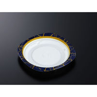 中央化学 弁当容器 CT グルメハウス M19 オペラDB 253799 1袋(50個)（直送品）