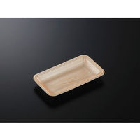 中央化学 発泡トレー CN 20-11E 木曽内 (L) 212811 1ケース(2400個(100個×24))（直送品）