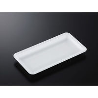 中央化学 発泡トレー CN 30-16E (L) 231027 1ケース(1200個(100個×12))（直送品）