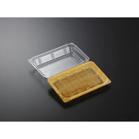 中央化学 フードパック パノラックV 20-13 男鹿 144246 1袋(50個)（直送品）