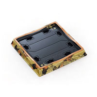 中央化学 寿司容器 HS 天城 20-4 かなえ金-BK 身 281022 1袋(25個)（直送品）