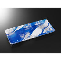 中央化学 発泡トレー FS-D4 (LL) つららB内 19125 1ケース(1000個(50個×20))（直送品）