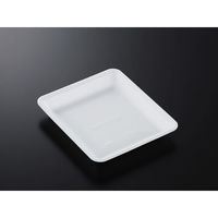 中央化学 発泡トレー CN 20-23FF (L) 178434 1ケース(900個(100個×9))（直送品）