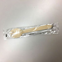 中央化学 使い捨てカトラリー 木製フォーク付スプーン 160 単袋入 透明 168005 1ケース(2000個(100個×20))（直送品）