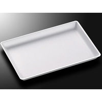 中央化学 発泡トレー FS-C6(LL) 130849 1ケース(800個(50個×16))（直送品）