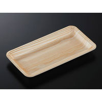 中央化学 発泡トレー CN 25-13E 木曽内 (L) 235283 1ケース(1500個(100個×15))（直送品）