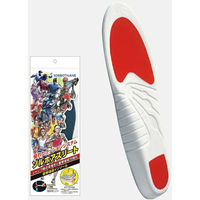 三進興産 ソルボアスリート 2L dp00139 1個（直送品）