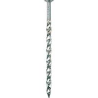 若井産業 WAKAI 光沢亜鉛めっき(E/G) スクリング釘 4kg箱 12X50 100450E 1セット(4kg:1kg×4kg)（直送品）