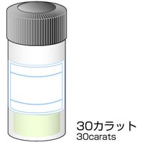 ミニター ミニモ ダイヤモンドパウダー 30ct.#2500 HD3205 1本 852-9576（直送品）