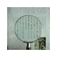 池田レンズ工業 池田レンズ 金枠製手持ちルーペ 倍率2.5倍 1331 1個 805-1833（直送品）