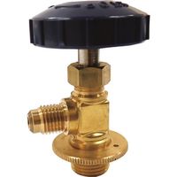 BBKテクノロジーズ BBK サービス管バルブ SKV 1個 157-5732（直送品）