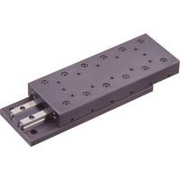 日本ベアリング NB スライドウェイSVT2形長さ65 SVT2065 1個 153-7822（直送品）