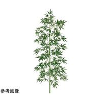 アズワン 七夕 笹 デラックスバンブーツリー 200cm(飾り別売) 67-3072-97 1セット（直送品）