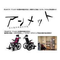 フェニックス商事 ライパット リクライニング自走式車椅子 パープル LPKY9006L_J_P 1台（直送品）