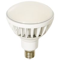日動工業 LED交換球 L40V2-J110-50K 1PC（直送品）