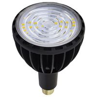日動工業 LED交換球 L100W-E39J-SBK-50K 1PC（直送品）