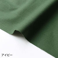 NBK エイティスクエア 無地 生地 綿100% シャーティング アイビー グリーン系 巾約110cm×10m切売カット KD4630-12（直送品）