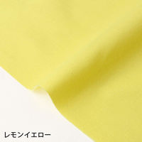 NBK GCeBXNGA n n 100% V[eBO CG[ Fn Ж108cm×2mؔJbg KD4630-20iij
