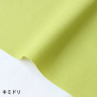 NBK GCeBXNGA n n 100% V[eBO L~h O[n Ж108cm×7mؔJbg KD4630-210iij