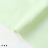 NBK GCeBXNGA n n 100% V[eBO C O[n Ж108cm×2mؔJbg KD4630-316-iij