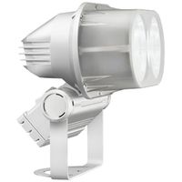 岩崎電気 LED投光器(60Wタイプ/昼白色/狭角) E0831N/SAN8/W 1個（直送品）